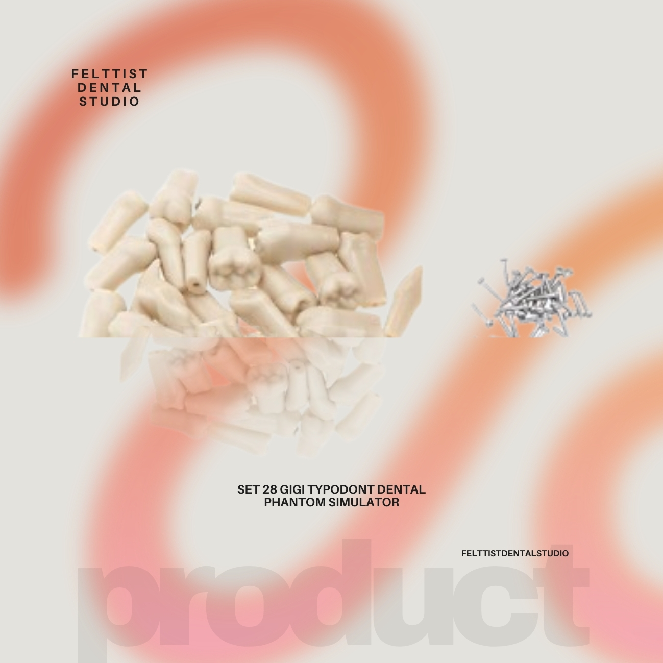 28 Set Gigi Typodont Dental Phantom Simulator